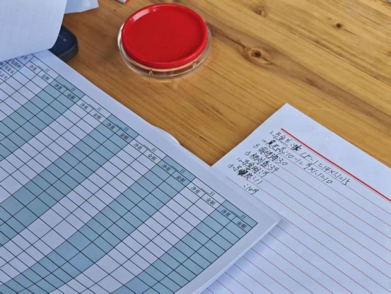 隆阳区瓦渡乡:深山绽放“致富花”· 3700余亩万寿菊迎来丰收采摘季7