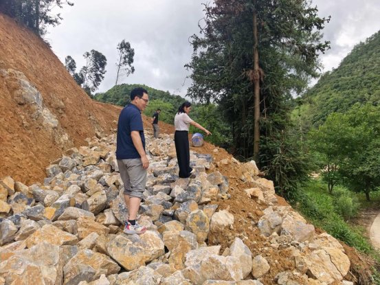 隆阳区瓦渡乡:深山绽放“致富花”· 3700余亩万寿菊迎来丰收采摘季8