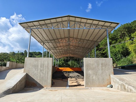 隆阳区瓦渡乡:深山绽放“致富花”· 3700余亩万寿菊迎来丰收采摘季10 (压缩)
